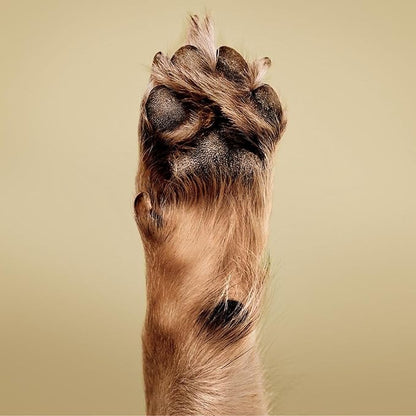 Paul Mitchell Soothing Oatmeal Shampoo (Pet)