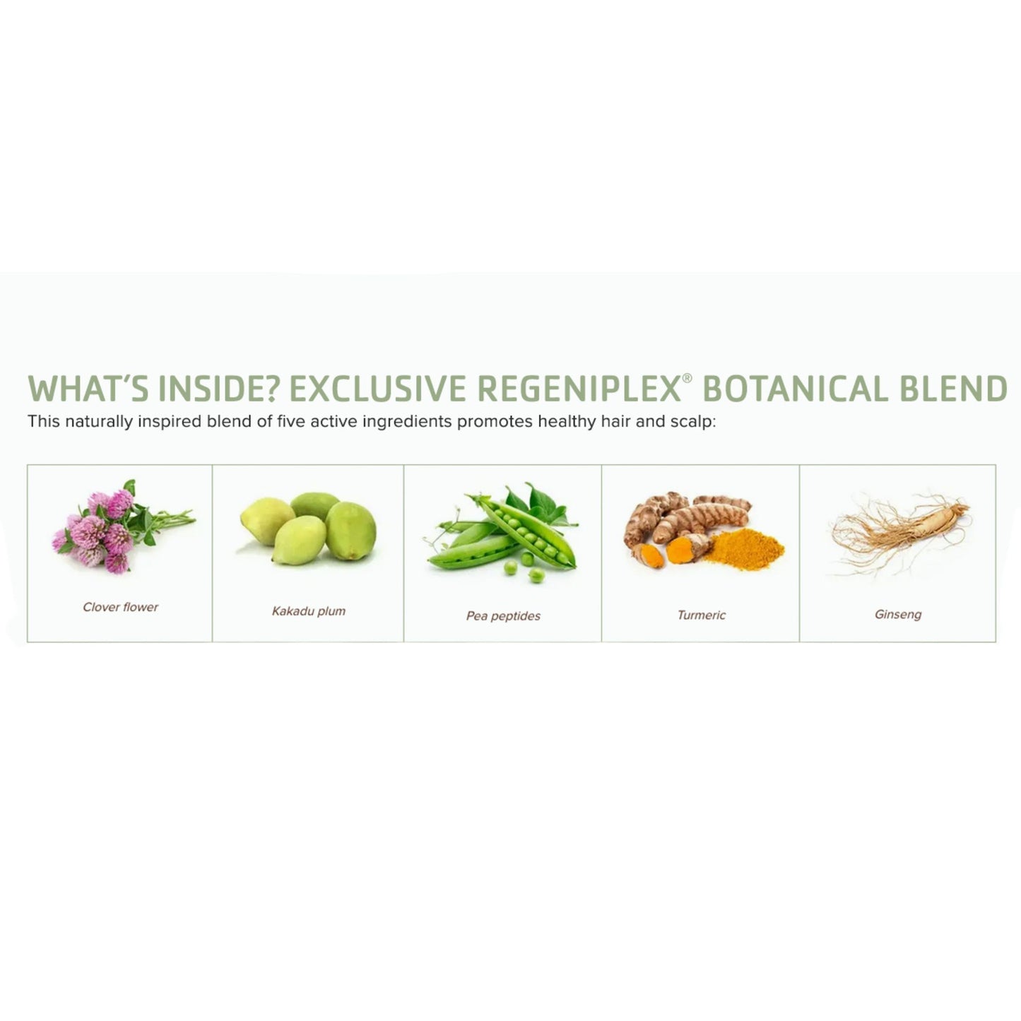 Tea Tree Scalp Care Regeniplex Conditioner-SB3