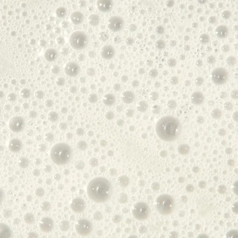 Paul Mitchell Tea Tree Scalp Care Regeniplex Shampoo